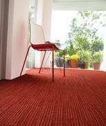 altrocarpet